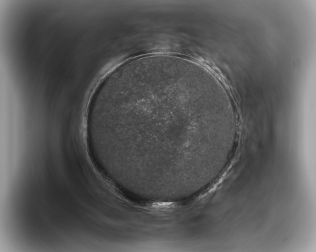 X0000095950055200801111358
