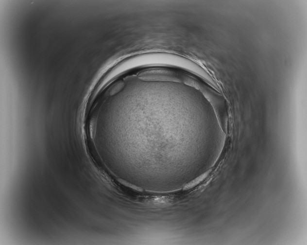 X0000095950056200801111358