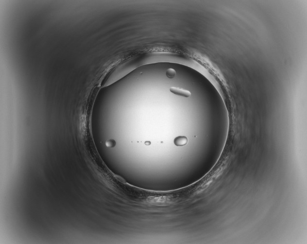 X0000095950057200801111358