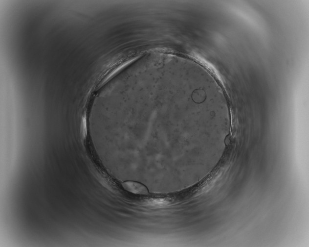 X0000095950061200801111358