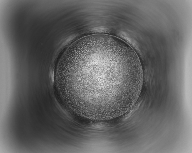 X0000095950062200801111358
