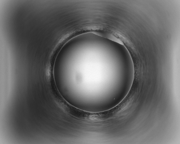X0000095950064200801111358