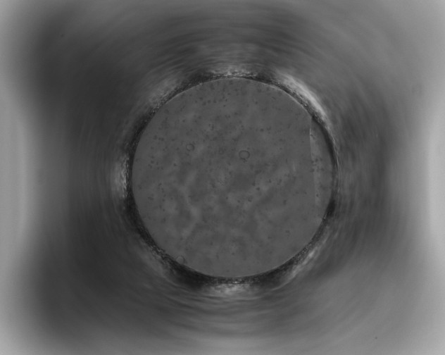 X0000095950065200801111358