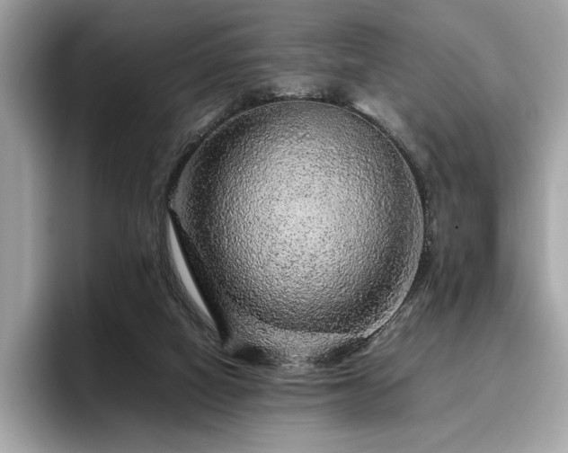 X0000095950066200801111358