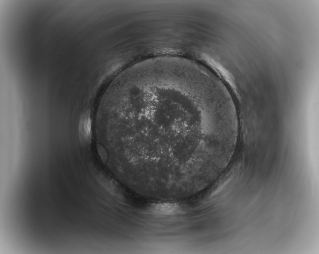 X0000095950067200801111358