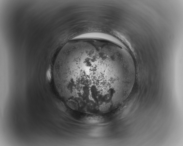 X0000095950069200801111358