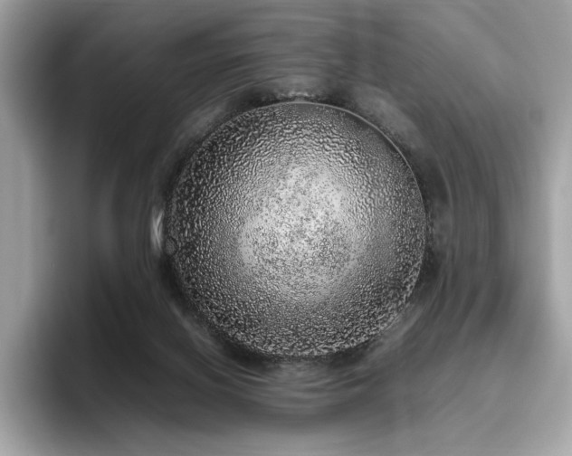 X0000095950070200801111358