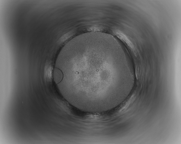 X0000095950071200801111358