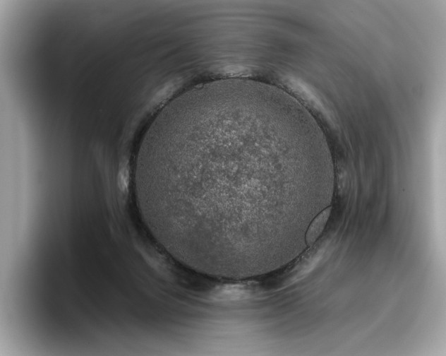 X0000095950072200801111358