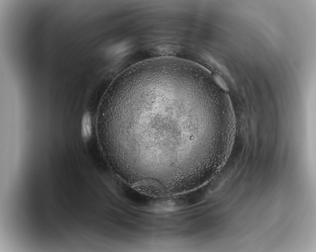 X0000095950075200801111358