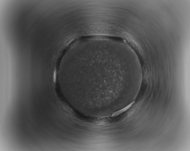 X0000095950076200801111358