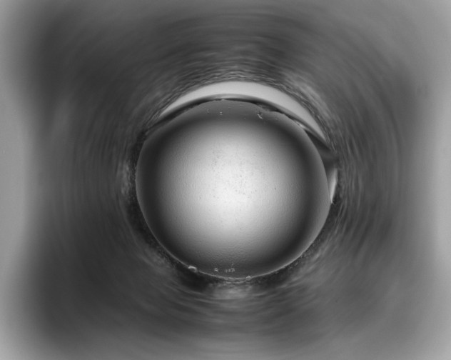 X0000095950077200801111358