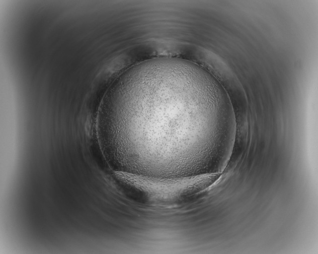 X0000095950078200801111358