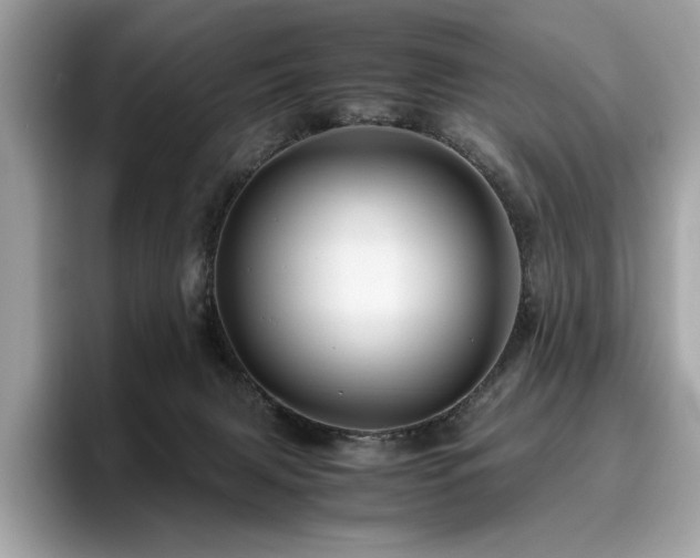X0000095950079200801111358