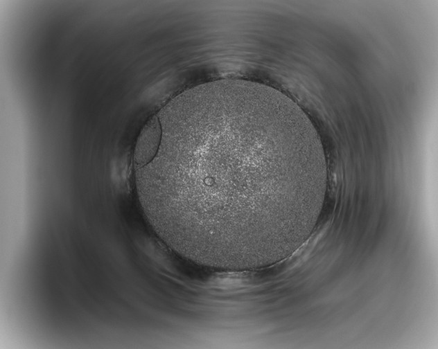 X0000095950082200801111358