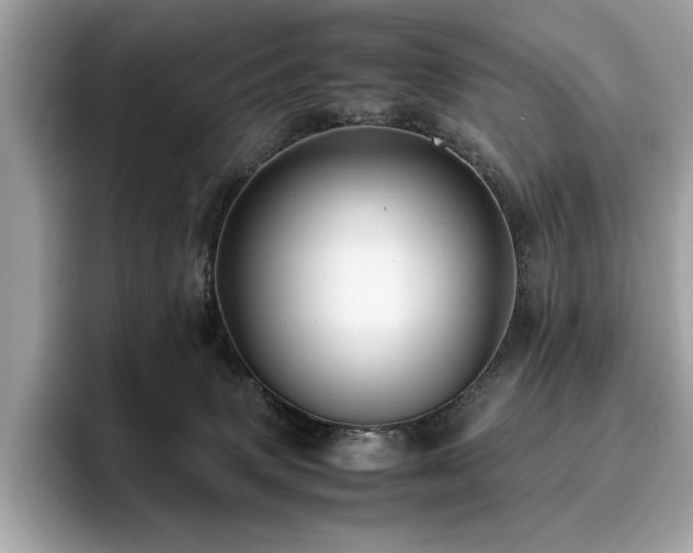 X0000095950083200801111358