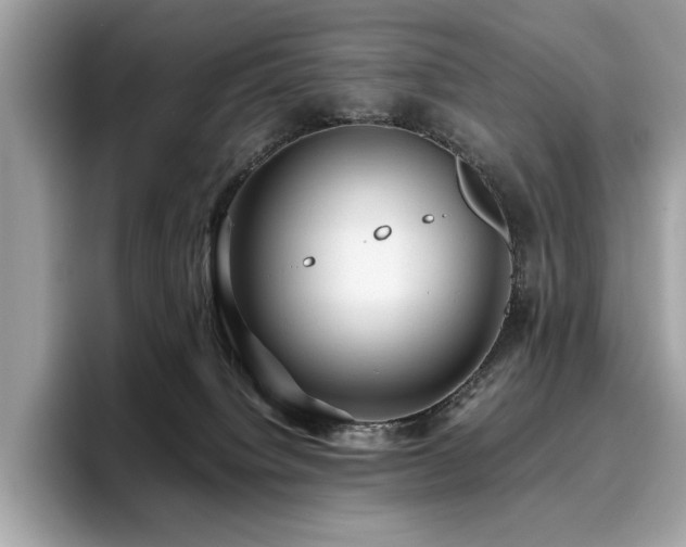 X0000095950084200801111358