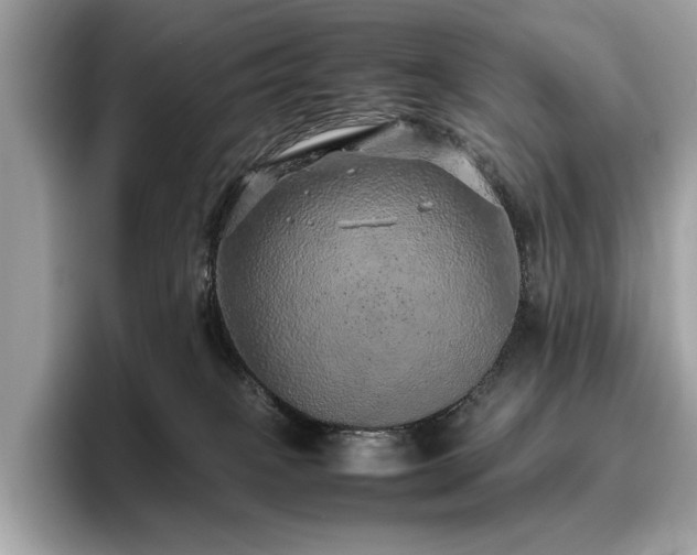 X0000095950085200801111358