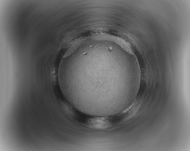 X0000095950086200801111358