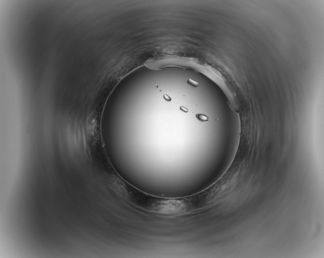 X0000095950087200801111358