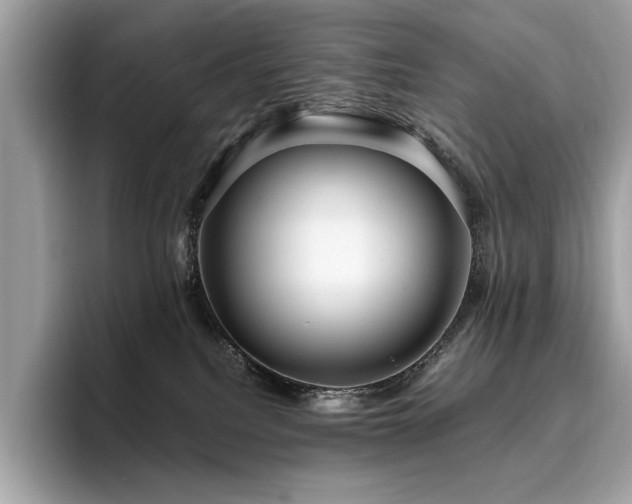 X0000095950088200801111358