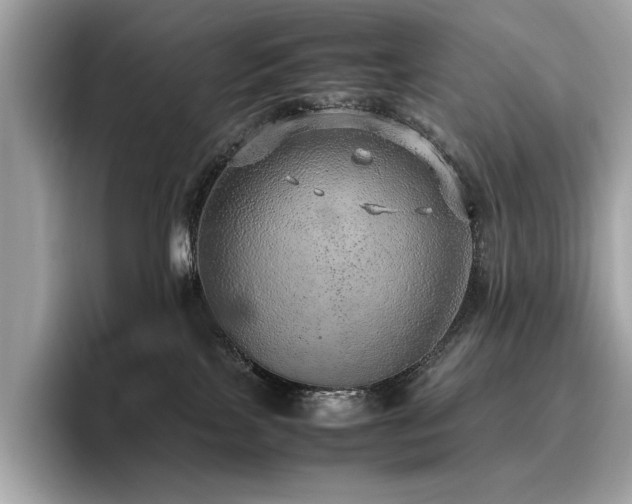 X0000095950089200801111358