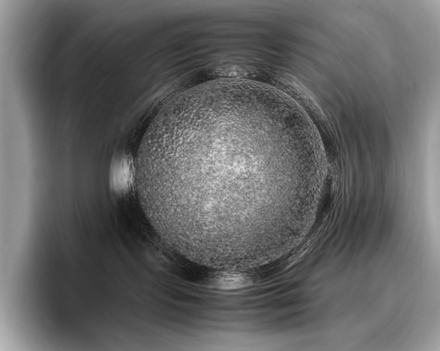 X0000095950095200801111358