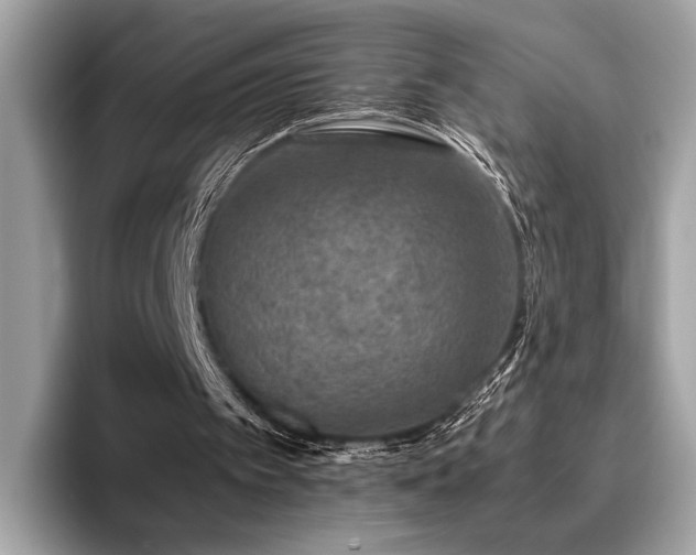 X0000095950097200801111358