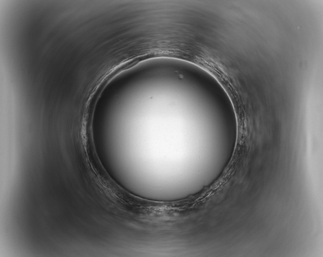 X0000095950098200801111358