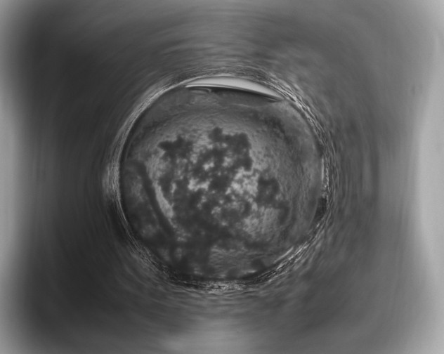 X0000095950099200801111358