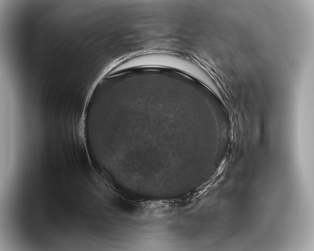 X0000095950100200801111358