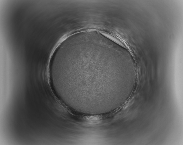 X0000095950102200801111358
