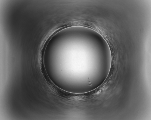 X0000095950103200801111358