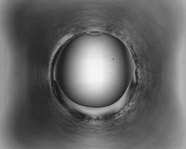 X0000095950104200801111358
