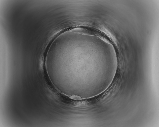 X0000095950107200801111358