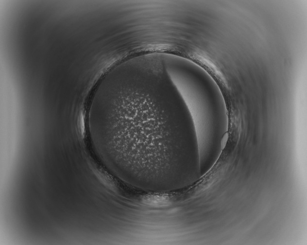 X0000095950110200801111358