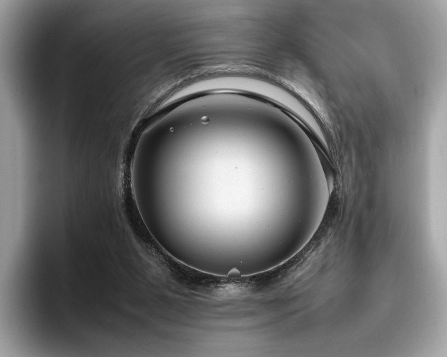 X0000095950111200801111358
