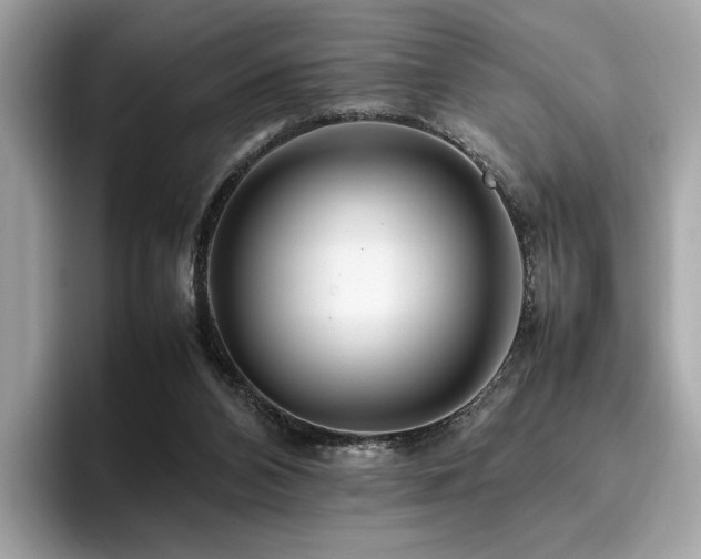 X0000095950112200801111358