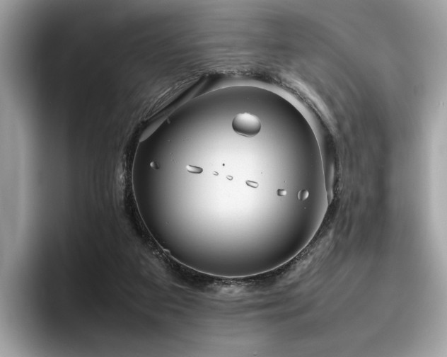 X0000095950113200801111358