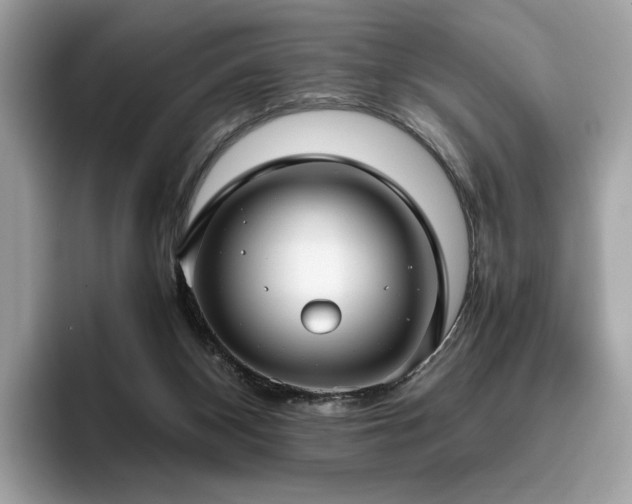 X0000095950116200801111358