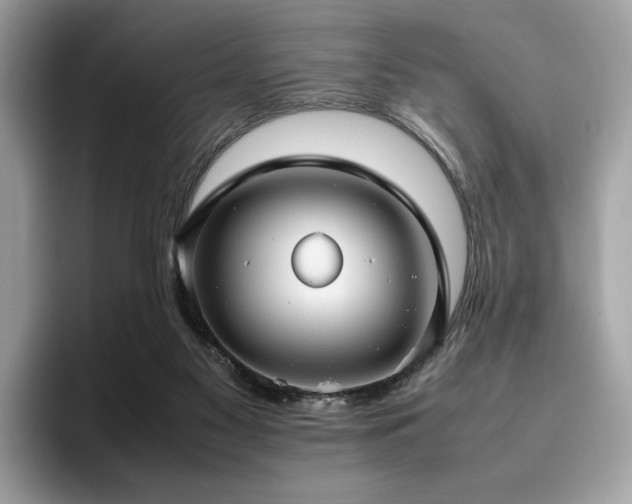 X0000095950117200801111357