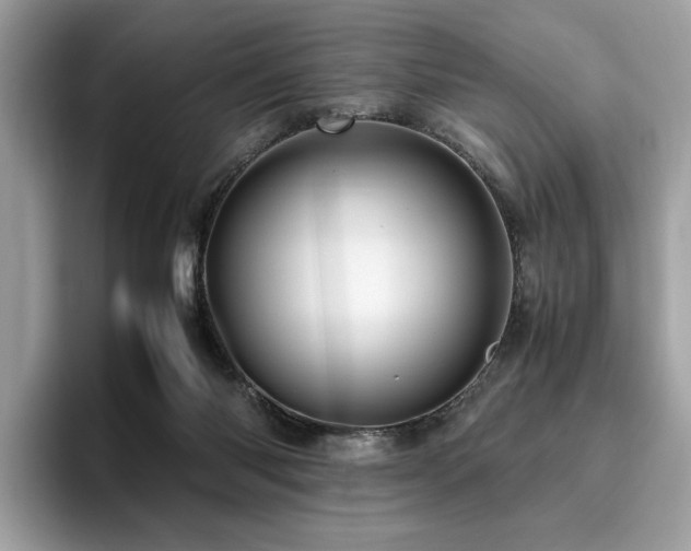 X0000095950118200801111357