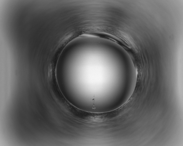 X0000095950120200801111357