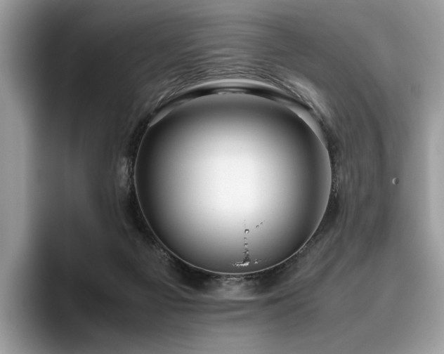 X0000095950121200801111357