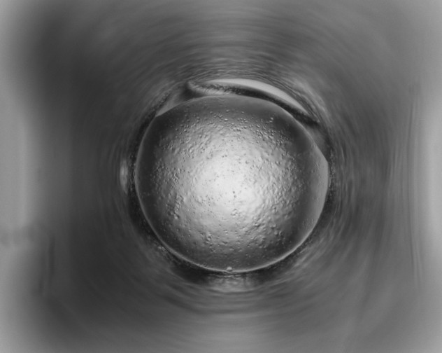 X0000095950123200801111357
