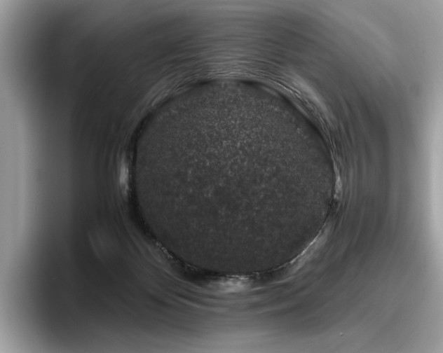 X0000095950124200801111357