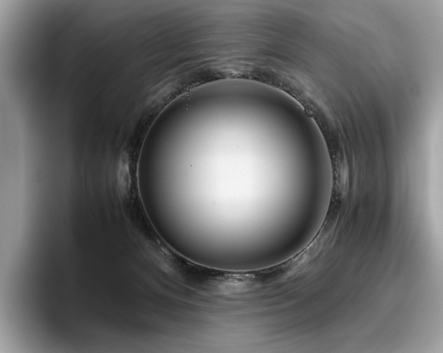 X0000095950128200801111357
