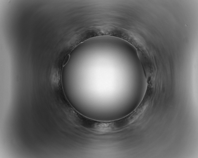 X0000095950129200801111357