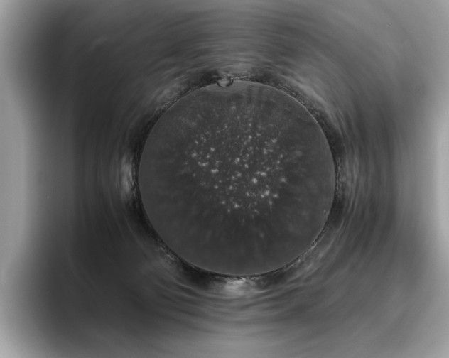 X0000095950130200801111357