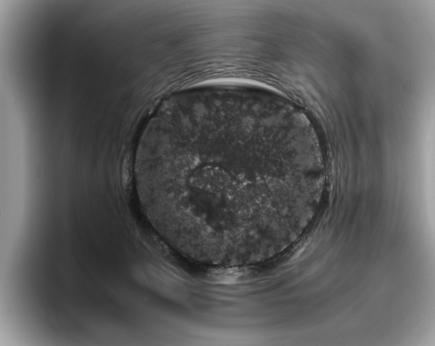 X0000095950131200801111357